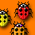 last-bubble :iconlast-bubble: