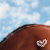 :iconlast-moment: