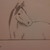 :iconlast-pride-graphics:
