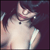 :iconlast-sky: