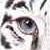 :iconlast-tigereyes: