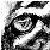 :iconlast-trace: