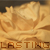 :iconlasting--memories: