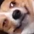 :iconlastoftheannunaki: