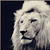 :iconlatarenka: