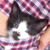 :iconlatem5: