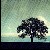 :iconlatent-angel:
