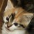 :iconlathyllie: