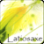 :iconlatiosaxe: