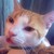 :iconlatnii: