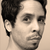 :iconlatrodectus-pallidus: