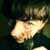 :iconlaudat: