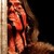 :iconlaufeyson-the-viking: