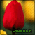 :iconlaughlin06: