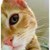 LaughterLover :iconlaughterlover: