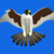 :iconlauph-1t-up: