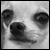 :iconlaura-kristen: