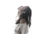 :iconlaura-pv:
