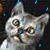 :iconlaura550: