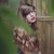 :iconlauraberesford: