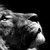 :iconlaurak06:
