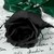 :iconlauraloxley:
