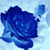 :iconlaurapeace96: