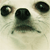 :iconlauras-lens: