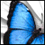 :iconlaurasydneyluvsu: