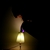 :iconlaureb: