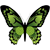 :iconlaurelgreen:
