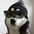 :iconlaurelly25: