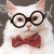 :iconlaurelly25: