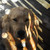 :iconlaurenfitz: