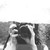 :iconlaurenseltzer: