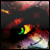 :iconlaurentbosc: