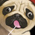 :iconlaurenzloehr:
