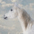 :iconlaurie77: