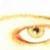 :iconLauriLaurenzo: