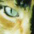 :iconlaurkin: