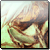 :iconlava-nut: