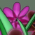 :iconlavenderveronica: