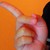 :iconlavishoptimism: