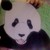 :iconlavolpe22:
