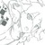 :iconlaw-liet: