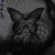:iconlawlietnote35: