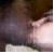 :iconLaworChaos: