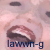 :iconlawwn-g: