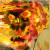 :iconlaxene: