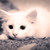 :iconlay1a: